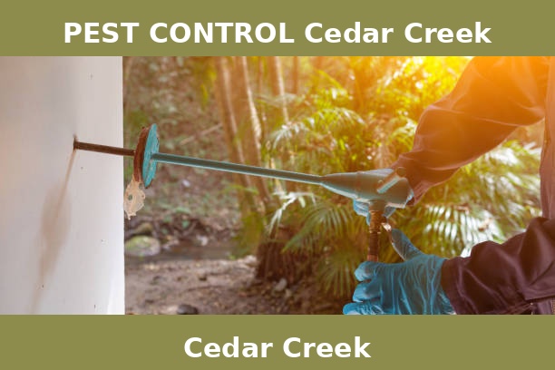 PEST CONTROL Cedar Creek